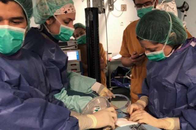 extracció d'organs d'un donant_hub