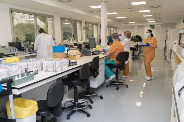 Nou laboratori immunologia GTMS 