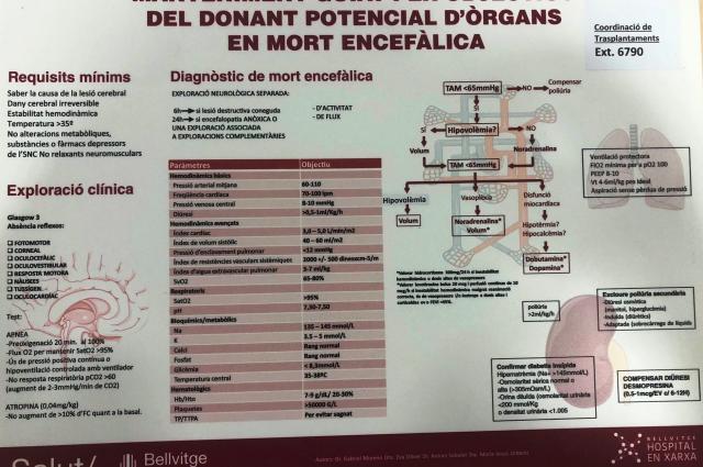 campanya coordinació trasplantaments 2