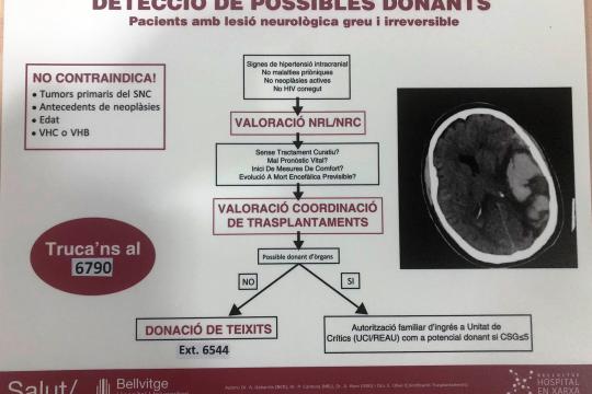 Coordinació de Trasplantaments engega una campanya informativa per als professionals sobre la donació d’òrgans i teixits